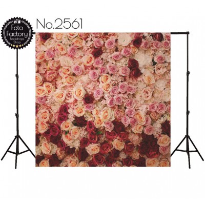 Backdrop 2561