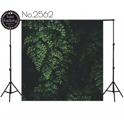 Backdrop 2562