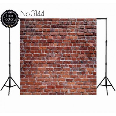 Backdrop 3144