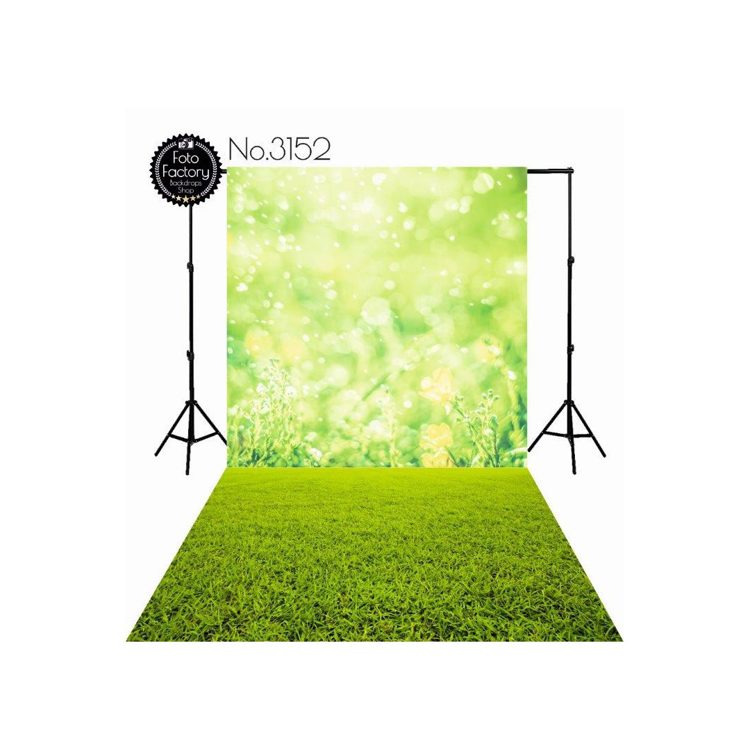 Backdrop 3152