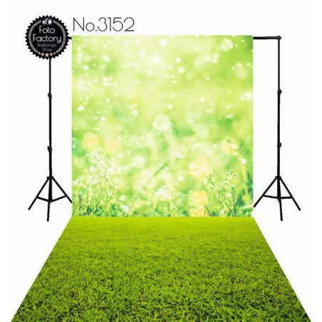 Backdrop 3152