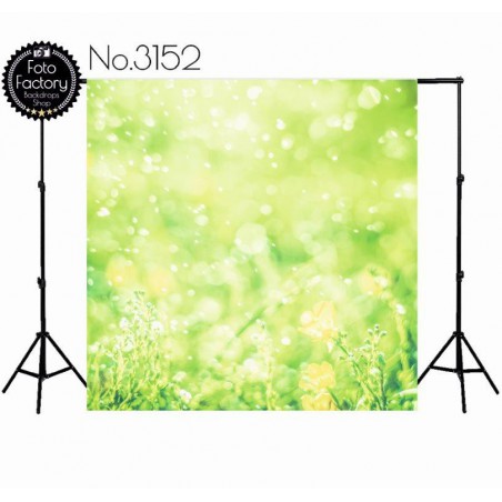 Backdrop 3152