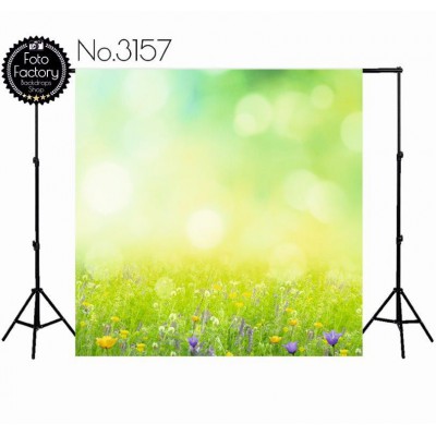 Backdrop 3157