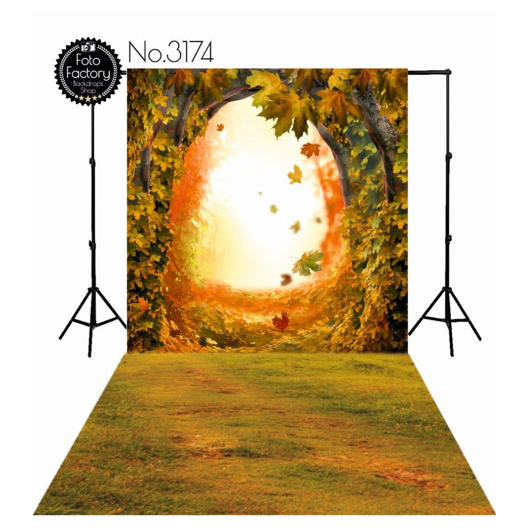 Backdrop 3174