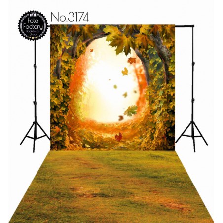 Backdrop 3174