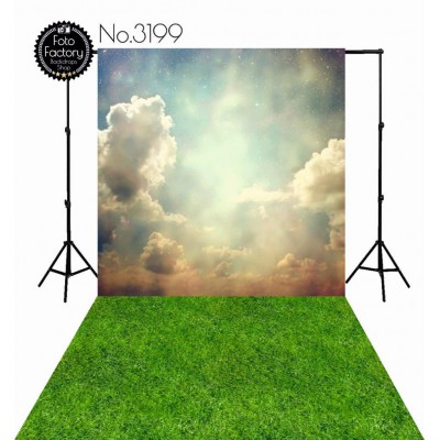 Backdrop 3199