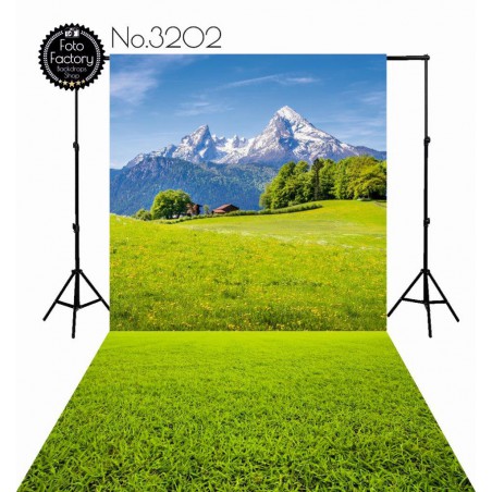 Backdrop 3202