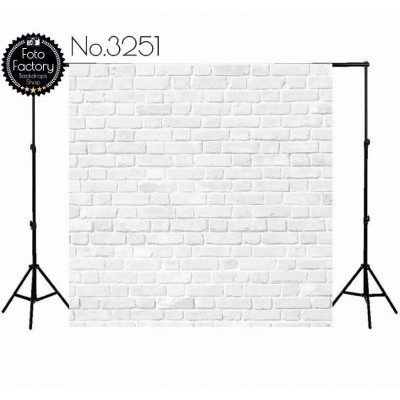 Backdrop 3251