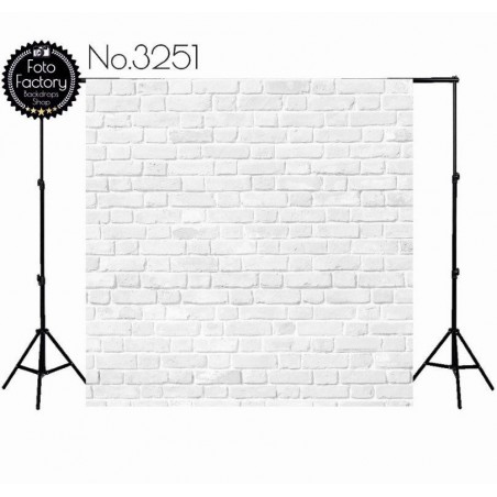 Backdrop 3251