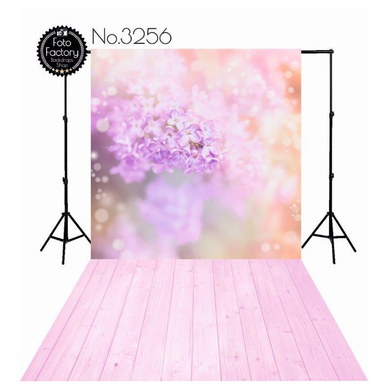 Backdrop 3256