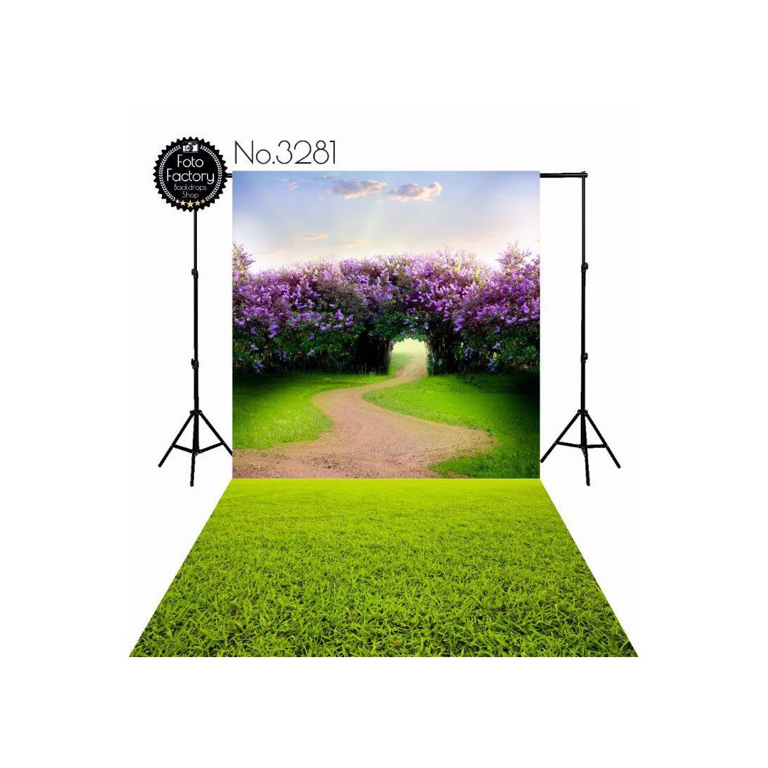 Backdrop 3281