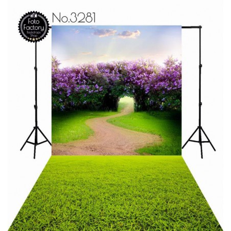 Backdrop 3281