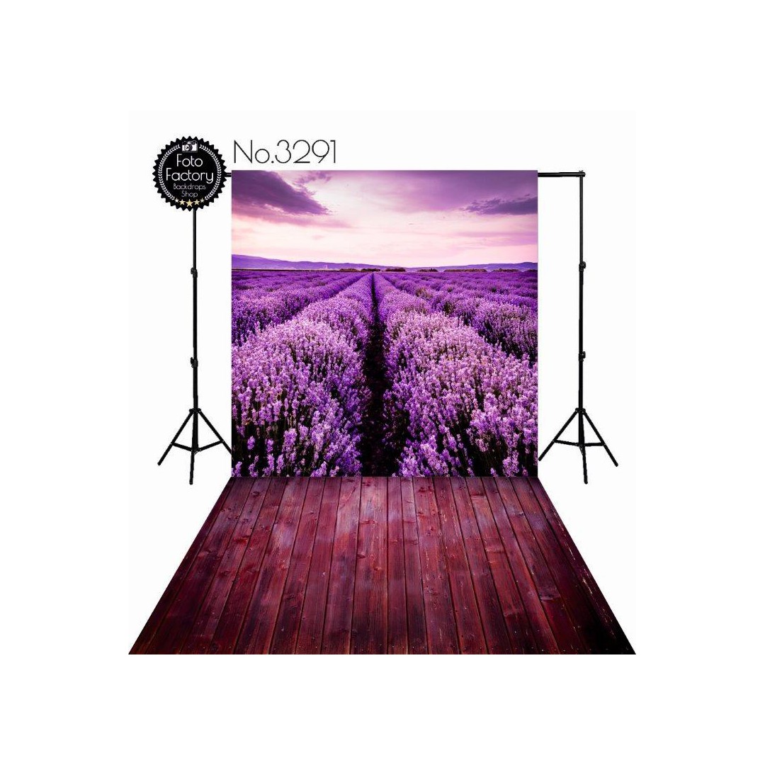 Backdrop 3291