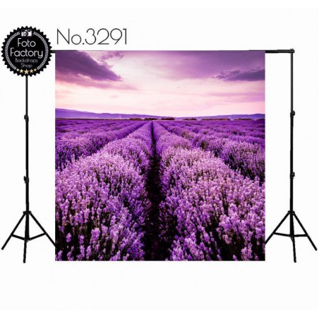 Tło fotograficzne 3291