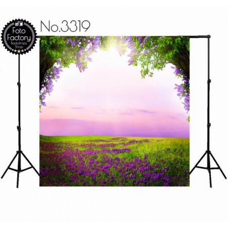 Tło fotograficzne 3319