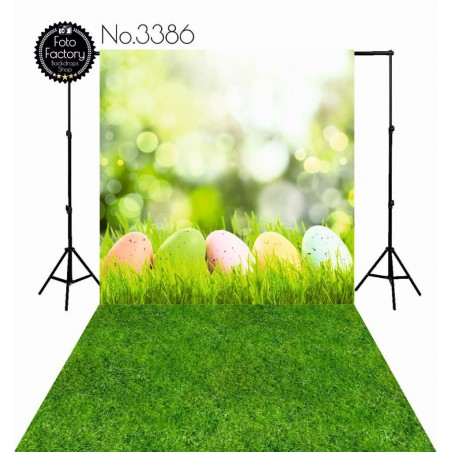 Backdrop 3386