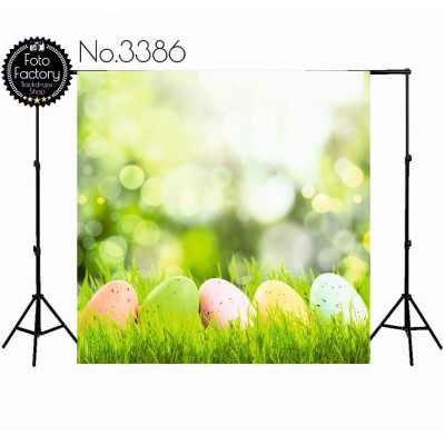 Backdrop 3386