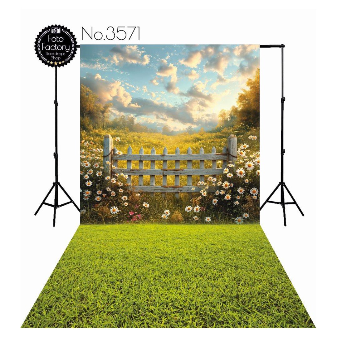 Backdrop 3571