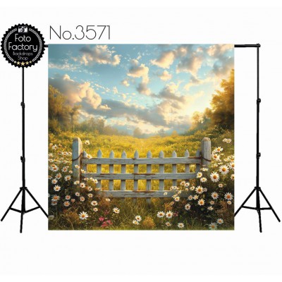 Backdrop 3571