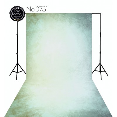 Backdrop artistic 3731