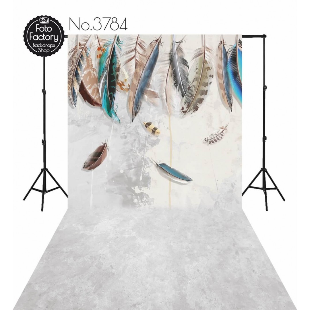 Backdrop colorful feathers 3784