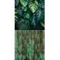 Backdrop green leaves 3785