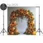 Backdrop balloon flower garland 3829