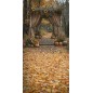 Backdrop autumn theme 3919