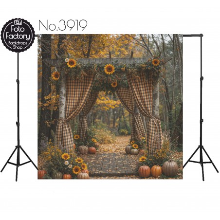 Backdrop autumn theme 3919