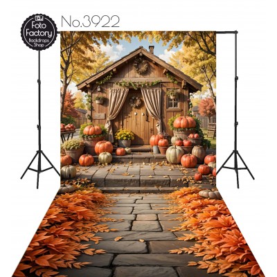 Backdrop autumn theme 3922