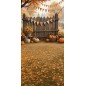 Backdrop autumn theme 3923