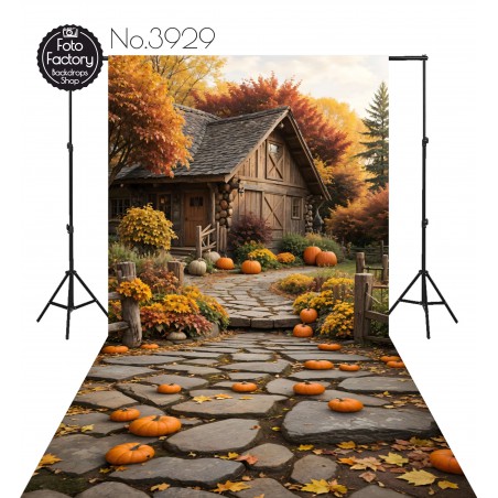 Backdrop autumn theme 3929