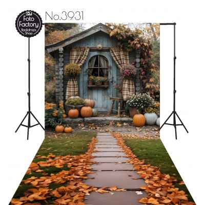 Backdrop autumn theme 3931