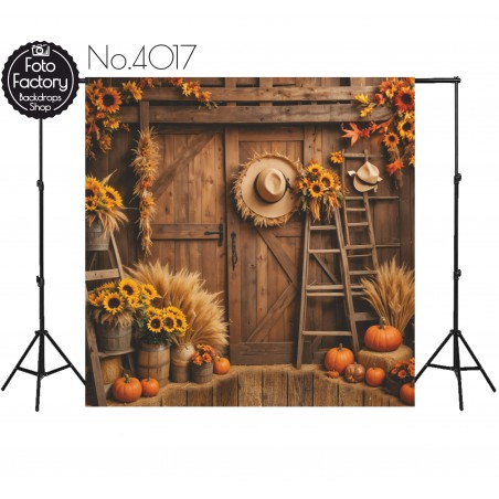 Backdrop autumn theme 4017