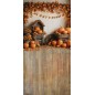 Backdrop autumn theme 4022