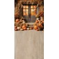 Backdrop autumn theme 4026