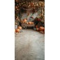 Backdrop autumn theme 4036