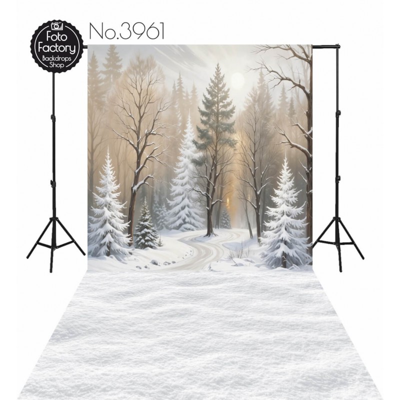 Backdrop Christmas Winter theme 3961