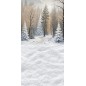 Backdrop Christmas Winter theme 3961
