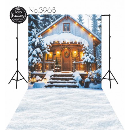 Backdrop Christmas Winter theme 3968