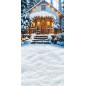 Backdrop Christmas Winter theme 3968