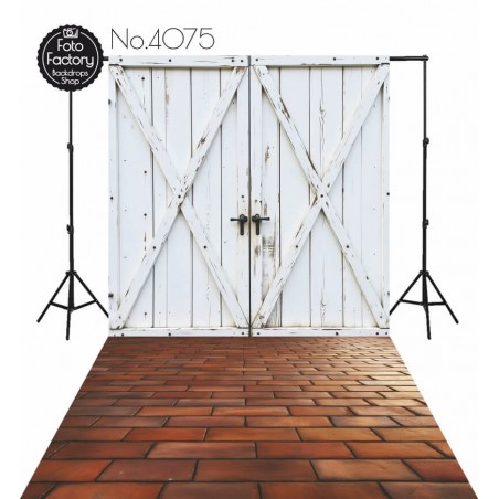 Backdrop white rustic door 4075