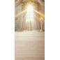 Backdrop First Communion Baptism 4093