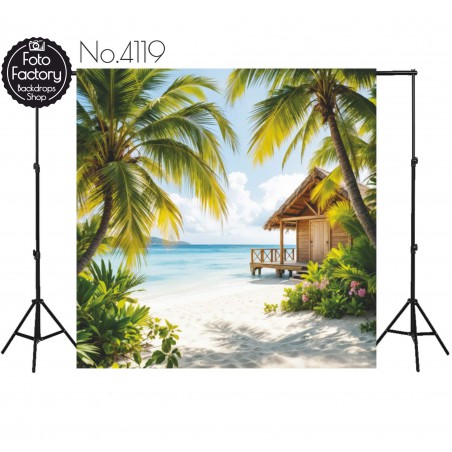 Hintergründe Strand Palmen Ferienhaus 4119