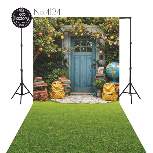 Backdrop blue door school accessories 4134