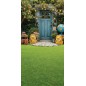 Backdrop blue door school accessories 4134