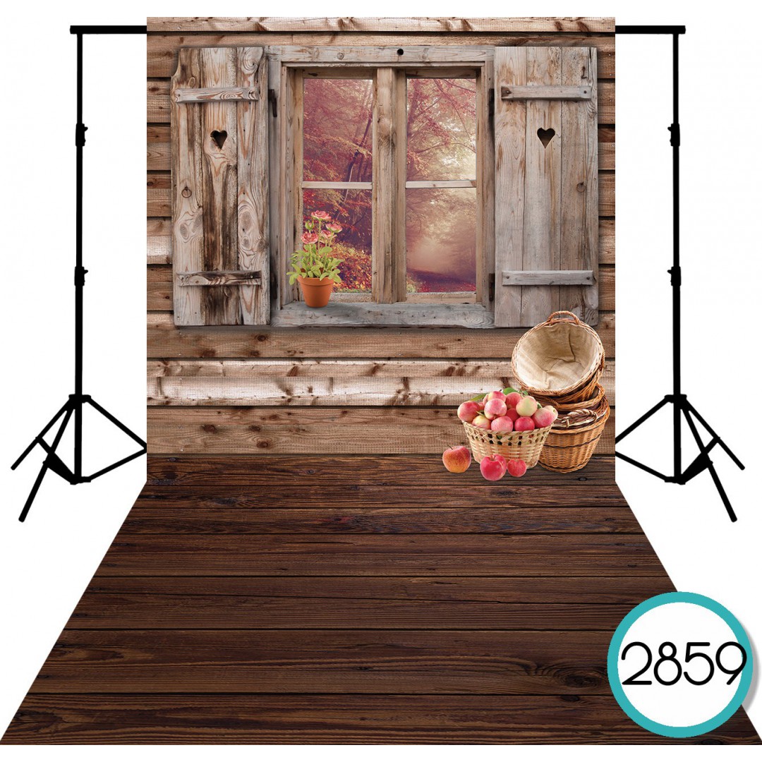 Backdrop 2859