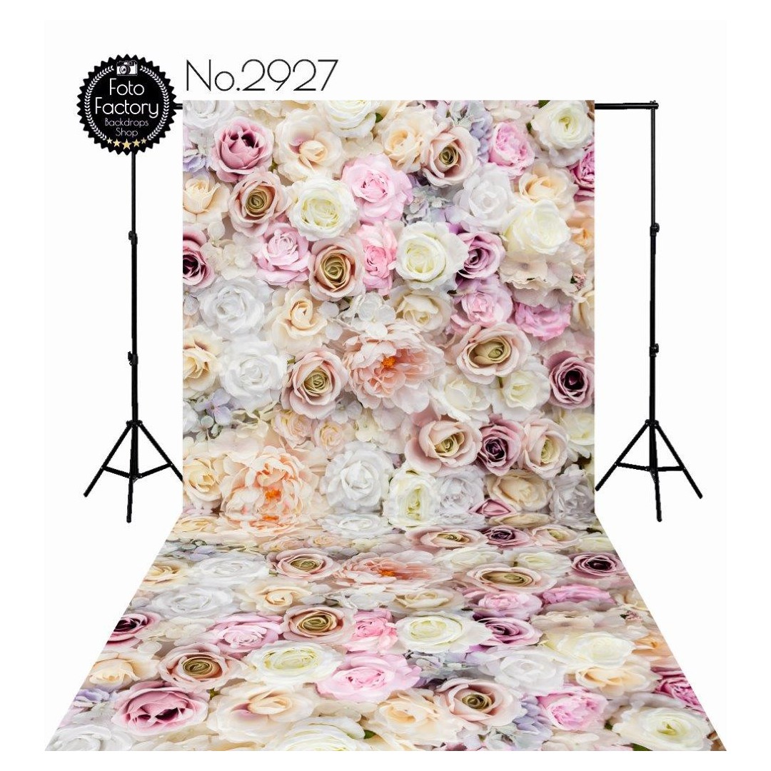 Backdrop 2927