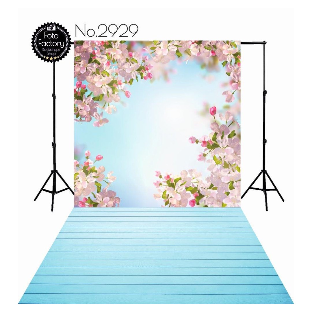 Backdrop 2929