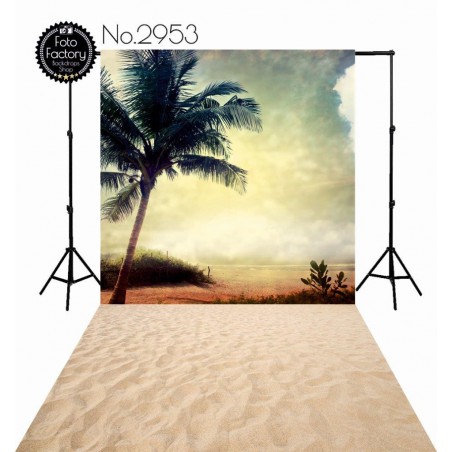 Backdrop 2953